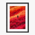 Framed Poster